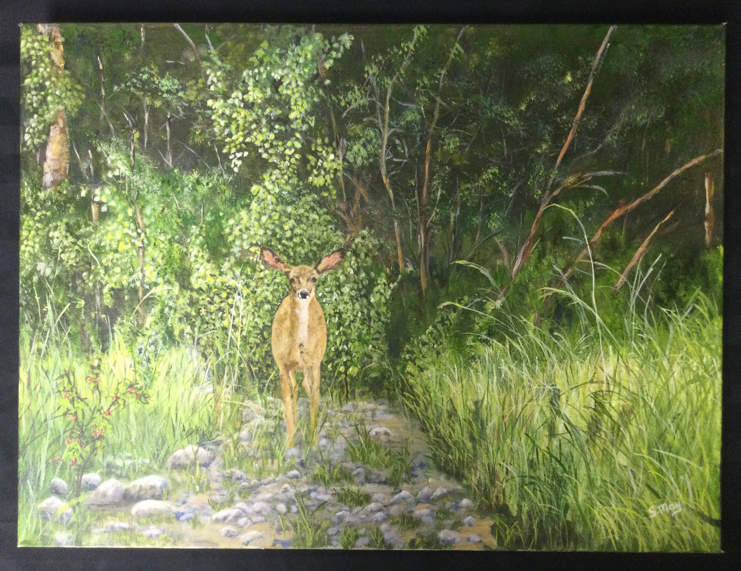 “Back Country Visitor” by Suzanne May