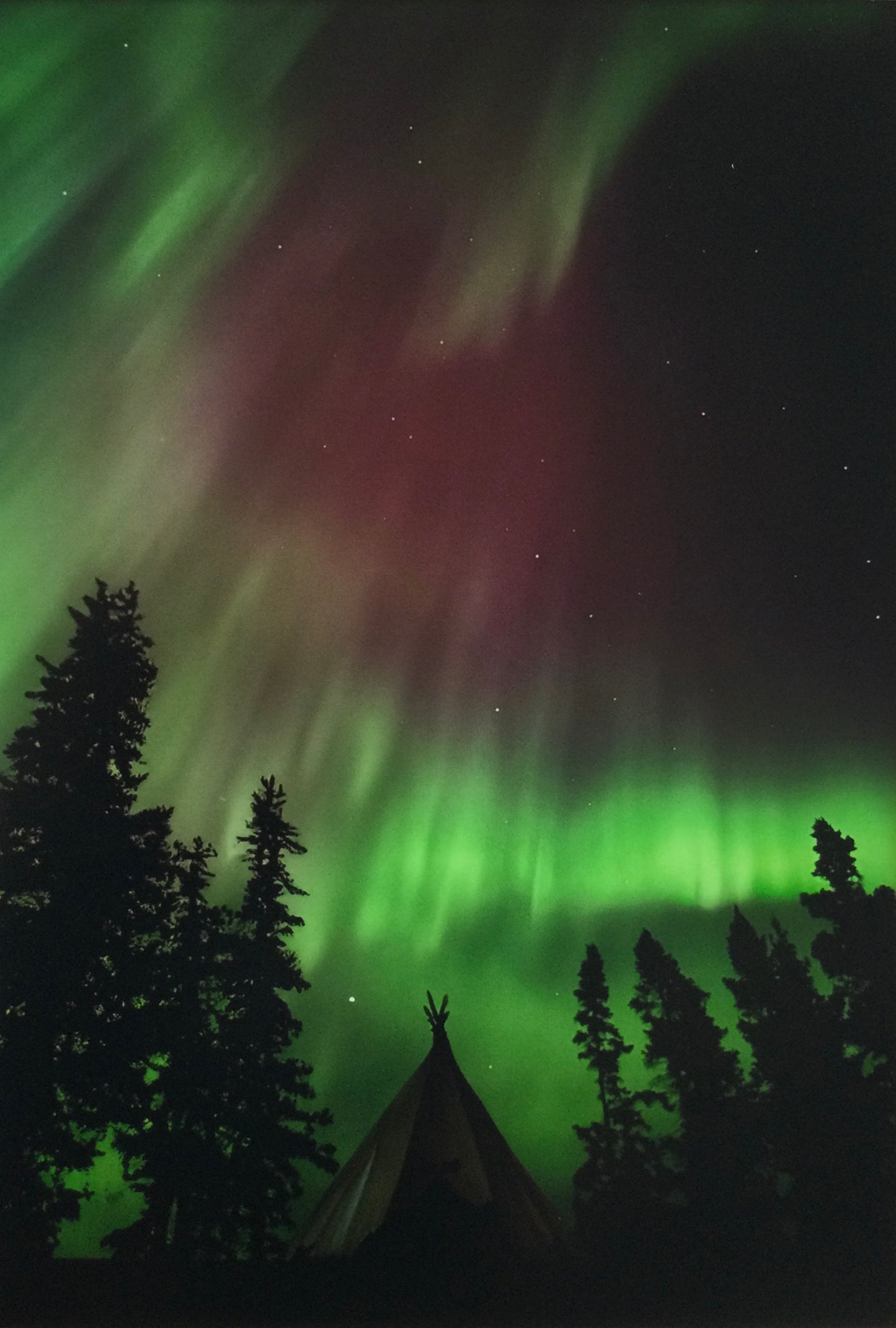 Pink Northern Lights