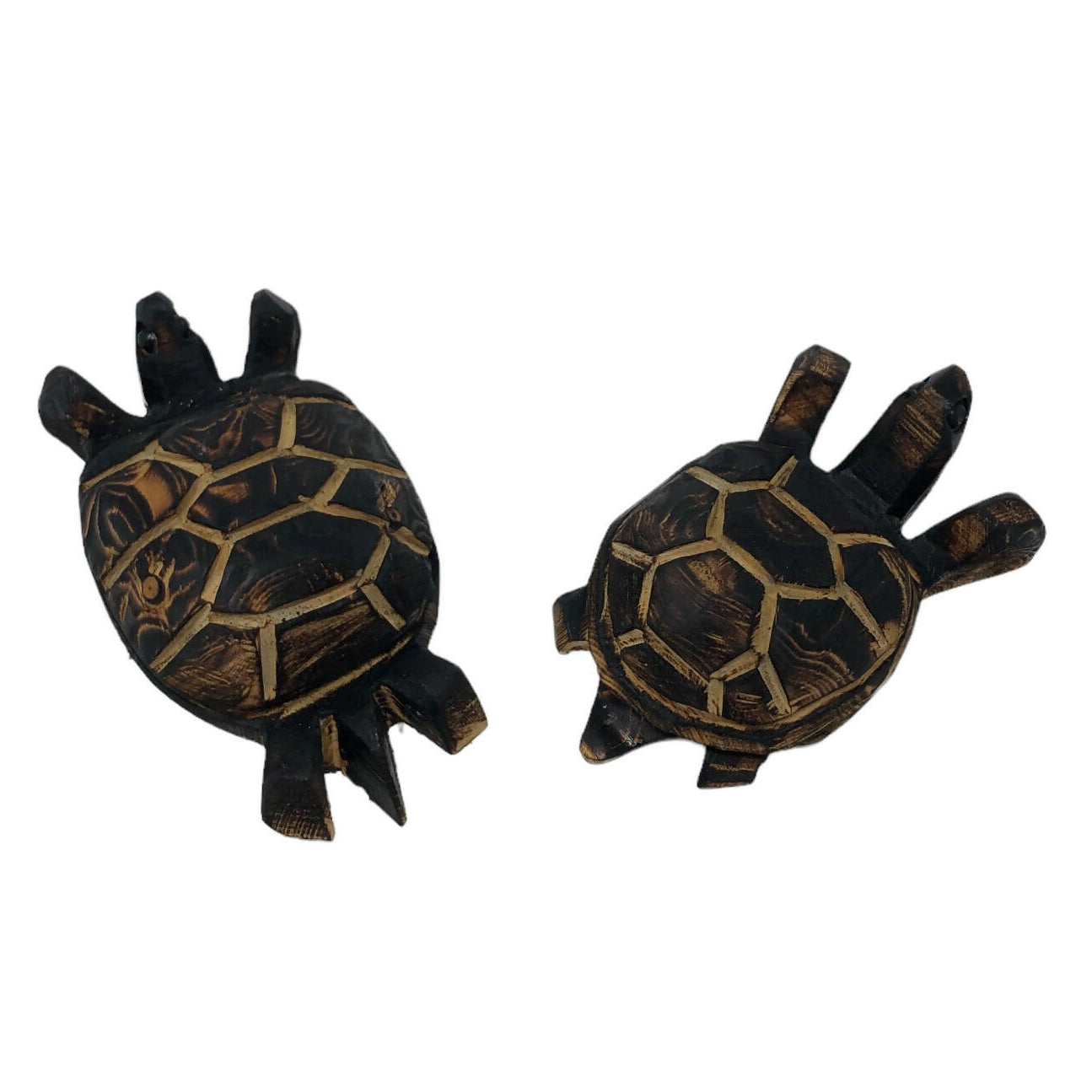 Turtle Carving