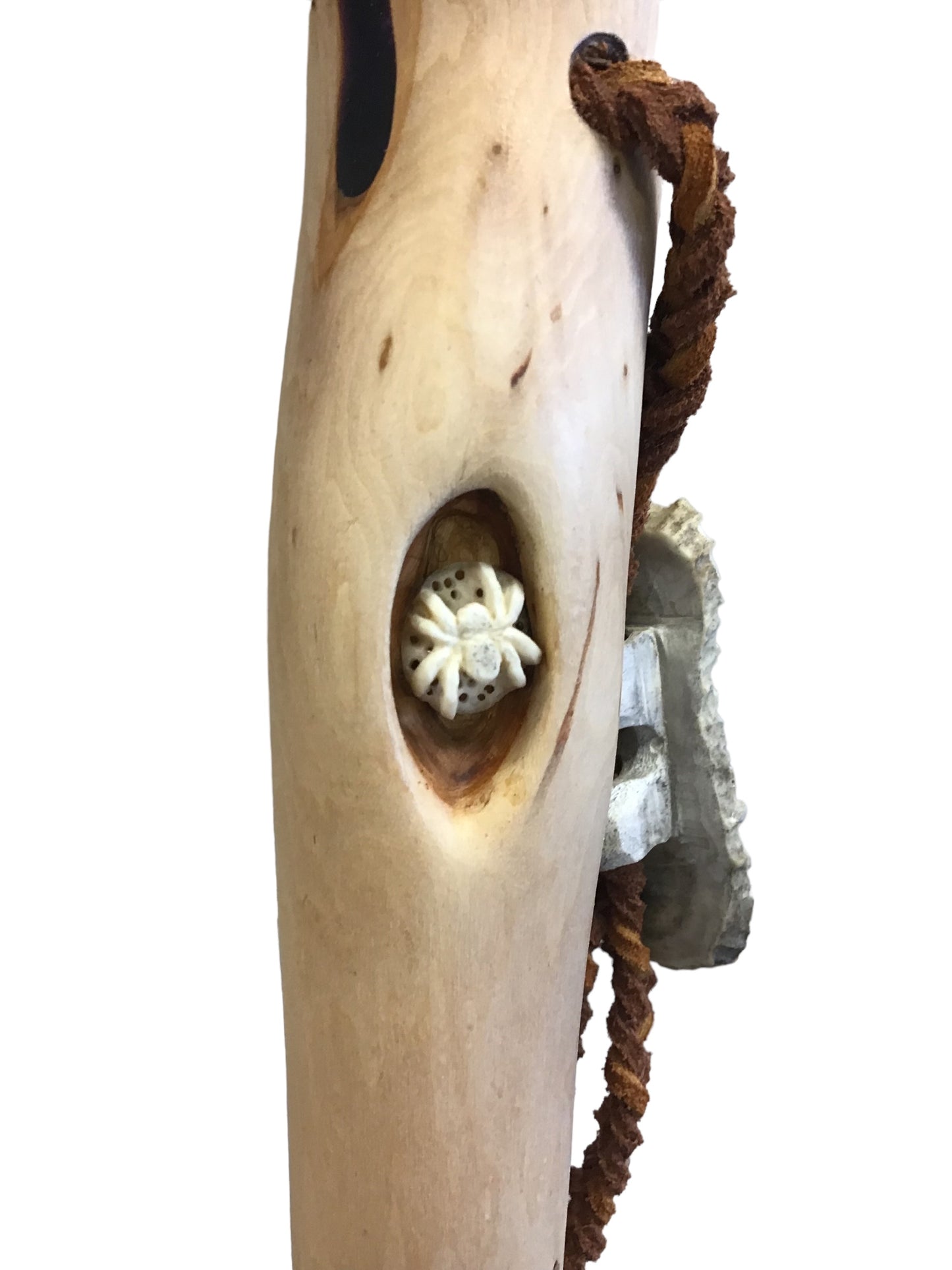 Diamond willow walking stick - Tree canoe and spider
