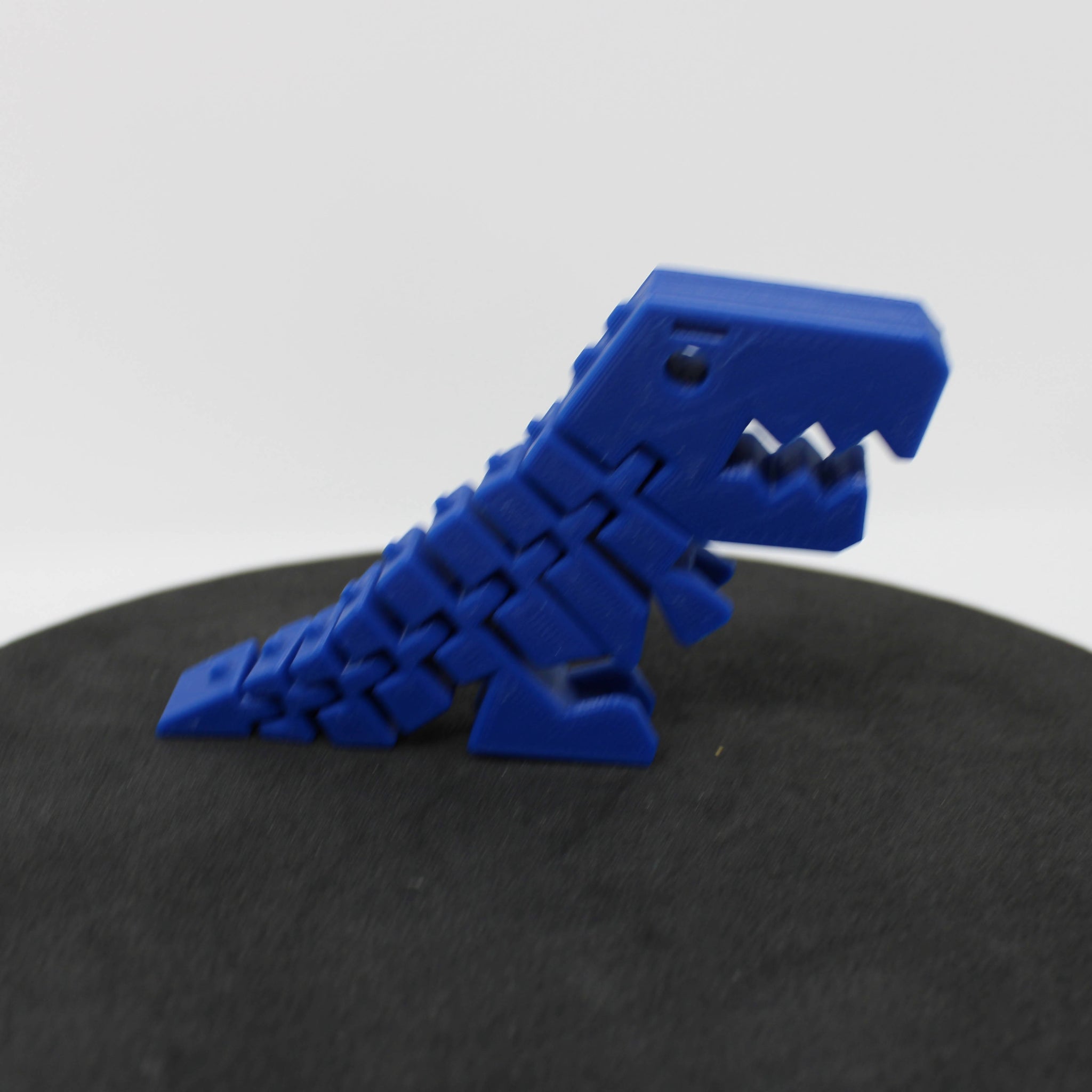 T-Rex fidget toy