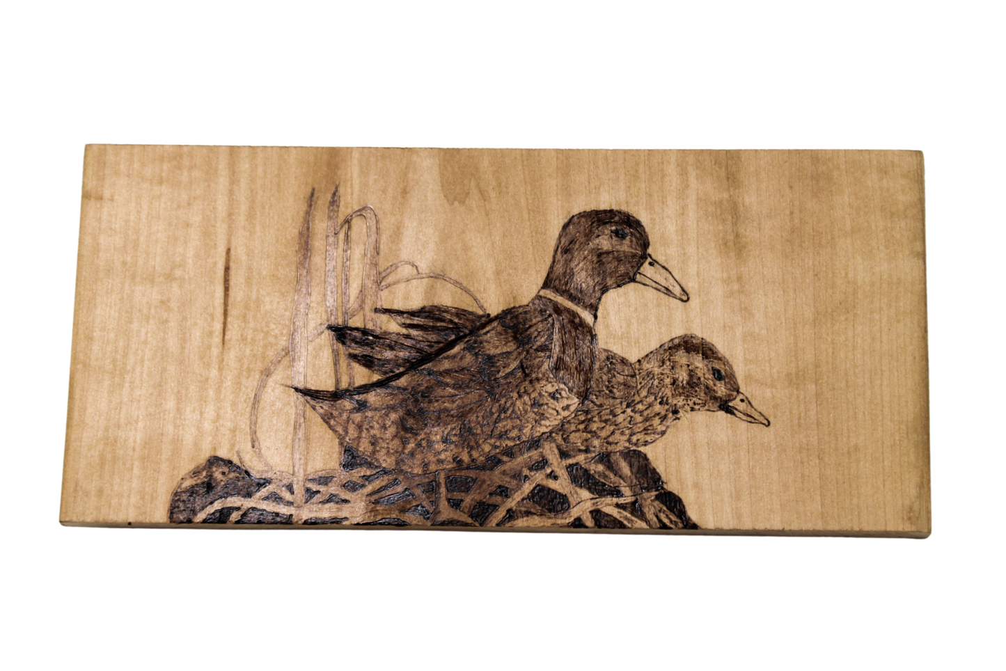 Family Nest