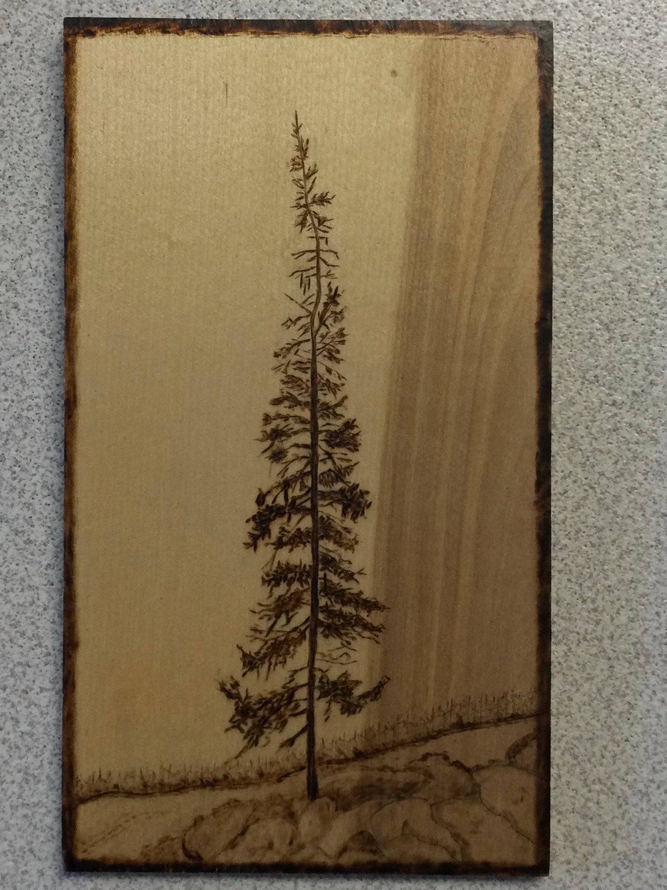 Lonely Tree