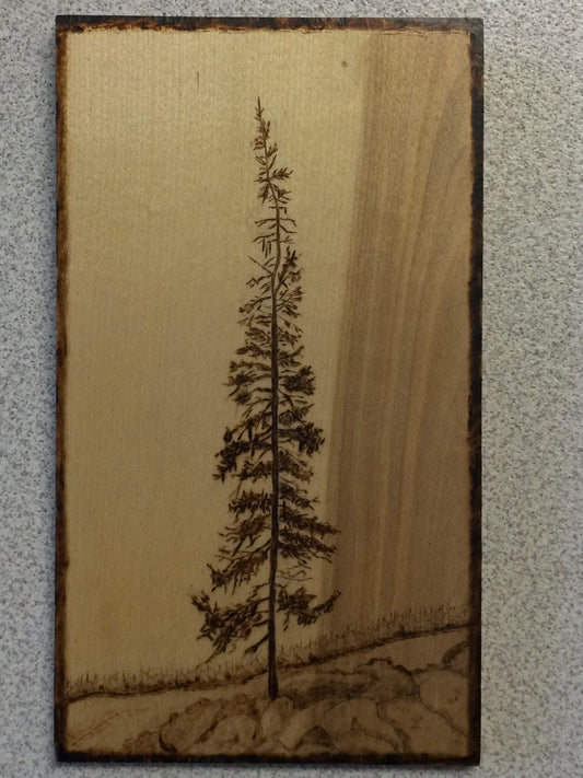 Lonely Tree