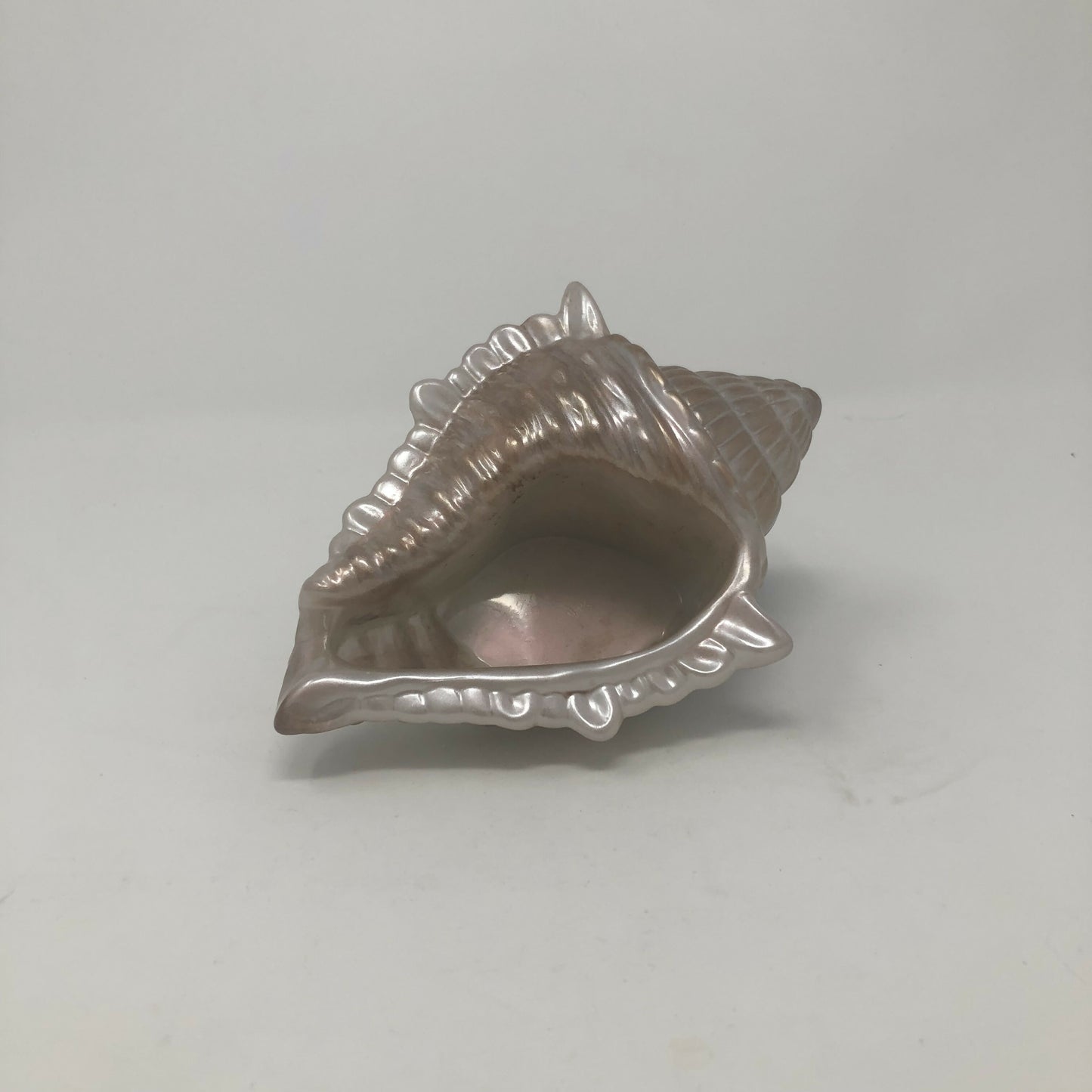 Seashell trinket dish