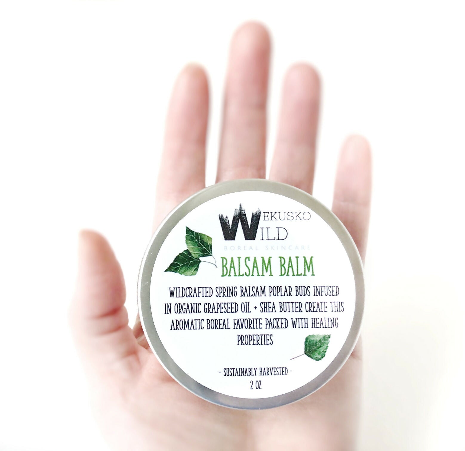 balsam-balm-gilead-poplar-resin-healing-wekusko-wild-mossy-bee.2-ounce-botanical-all-natural-organic