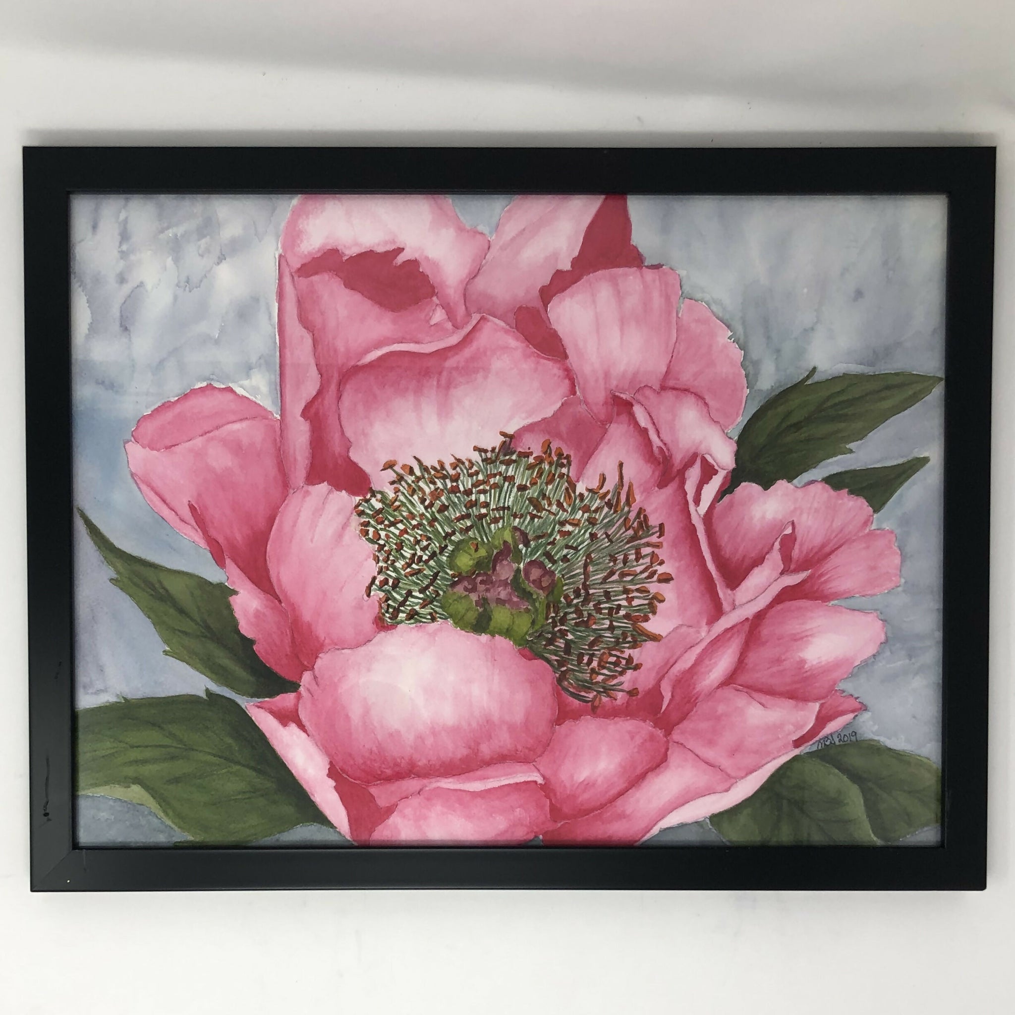 Blush of Summer Peony