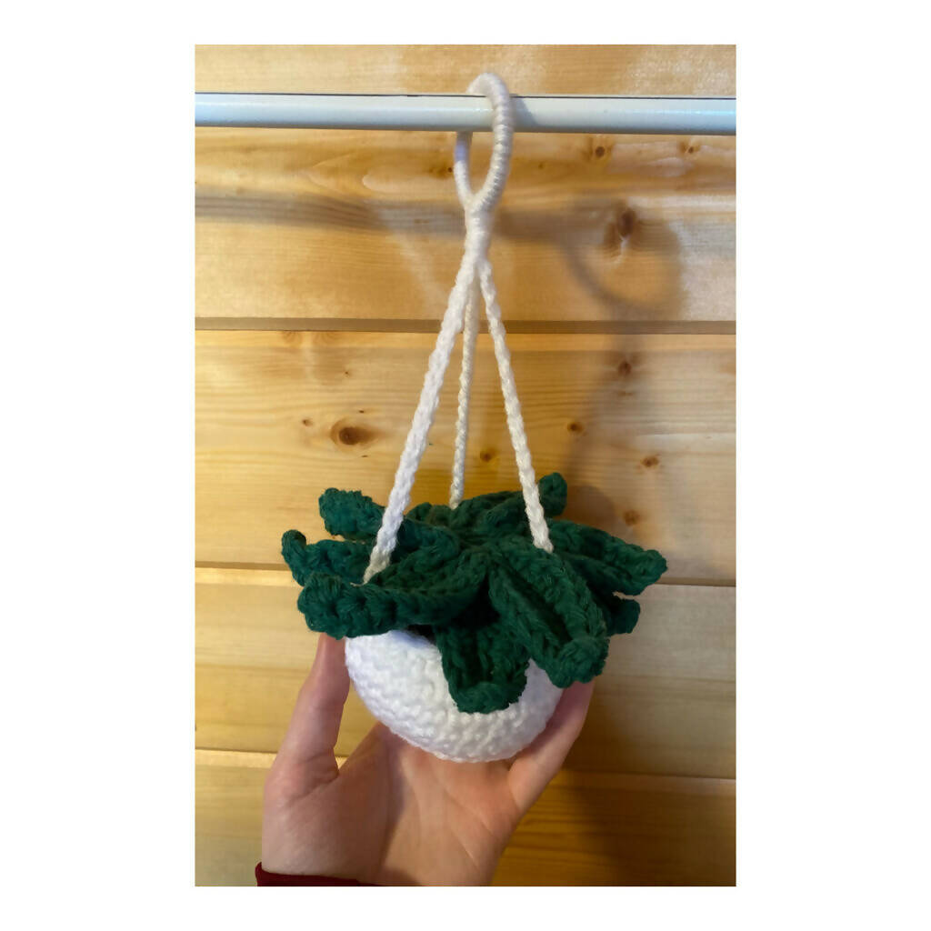 Crochet Hanging Plant