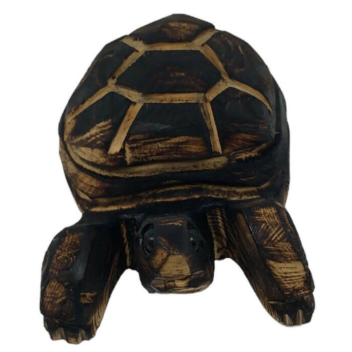 Turtle Carving