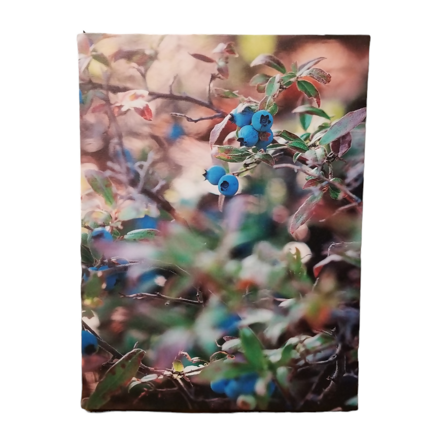 Blueberry Photography Print