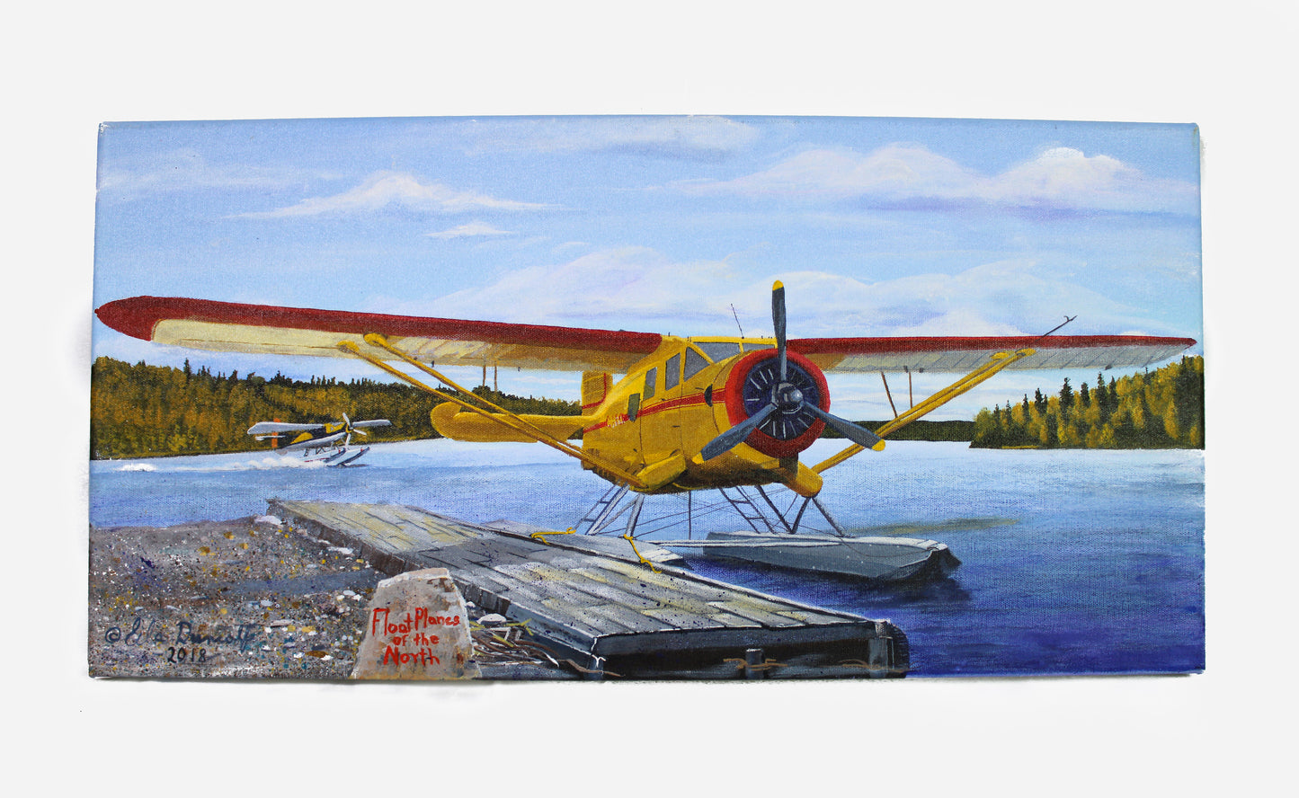 Float Planes of the North