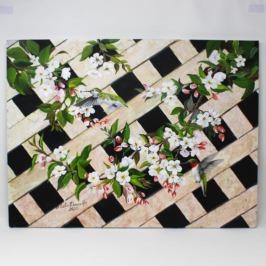 Humming Birds and white blossoms