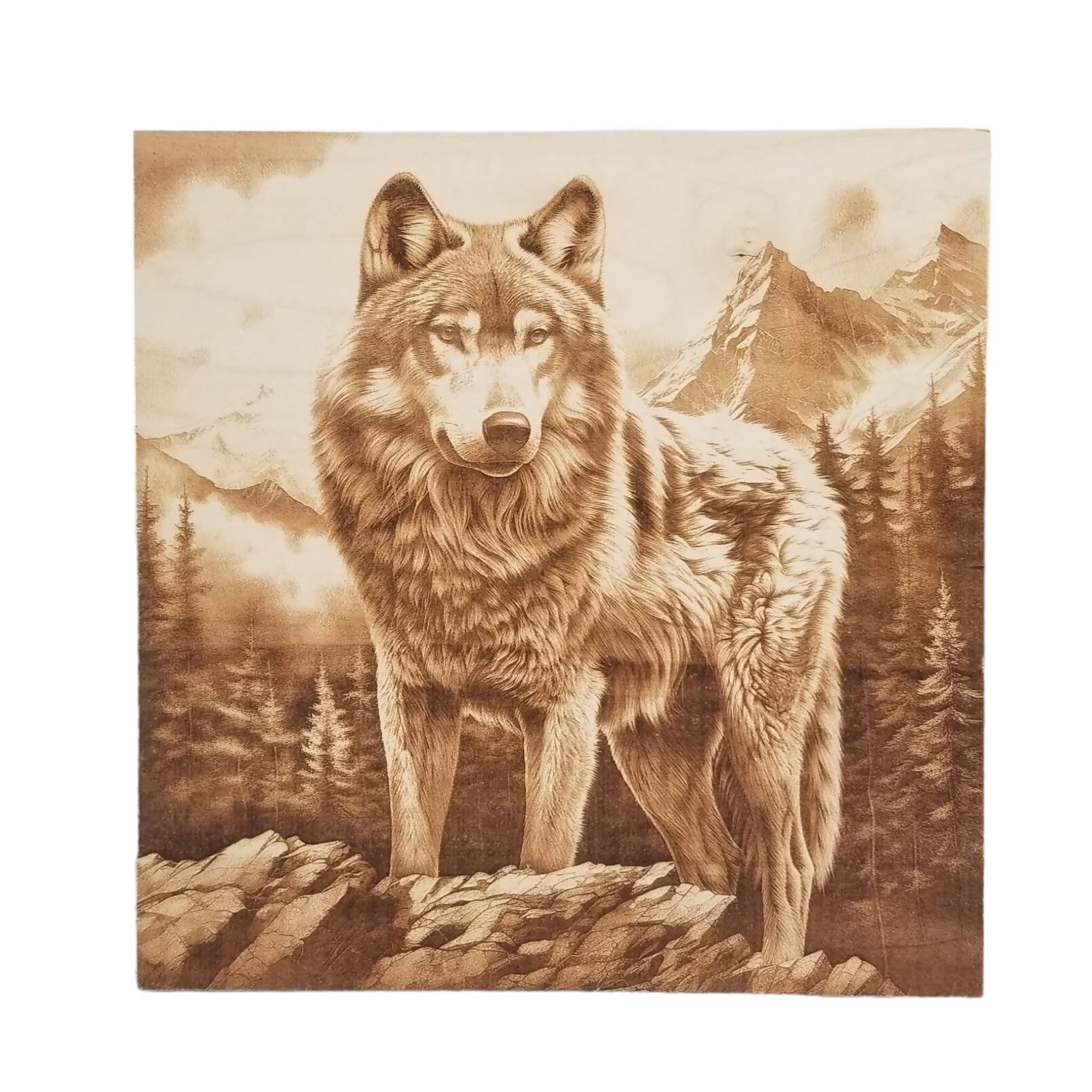 Wolf Laser wood Burn