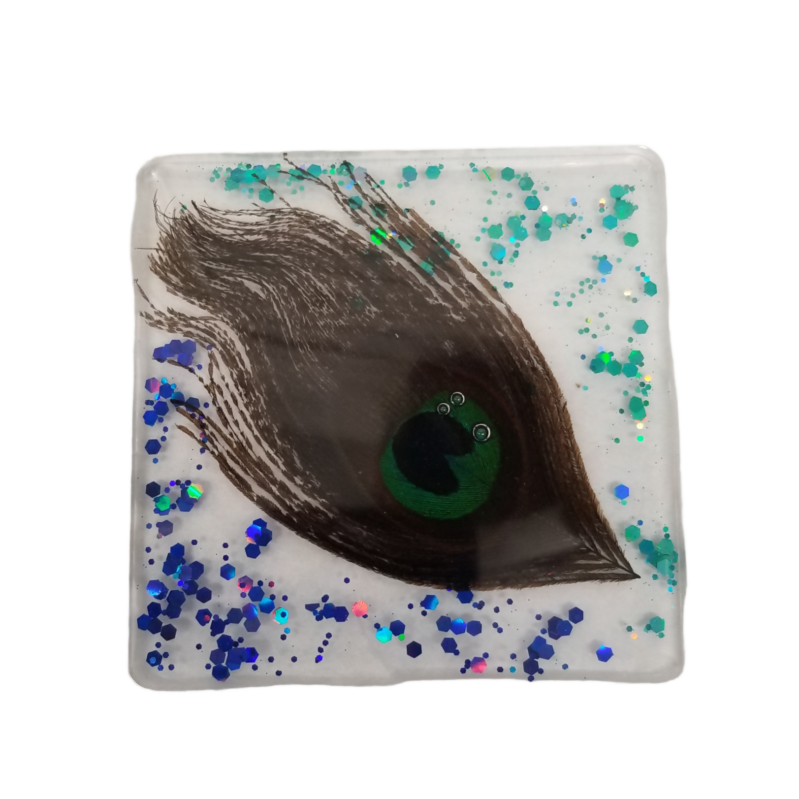 Peacock Feather Coasters