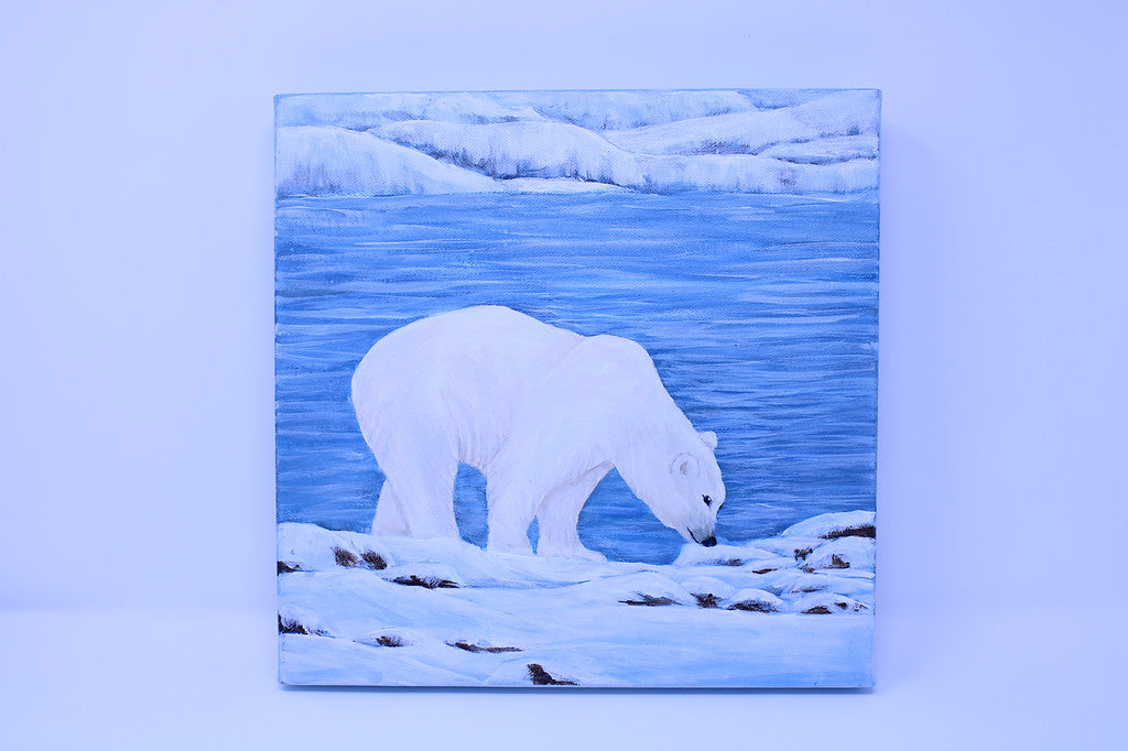 Polar Bear - Spring Atlast