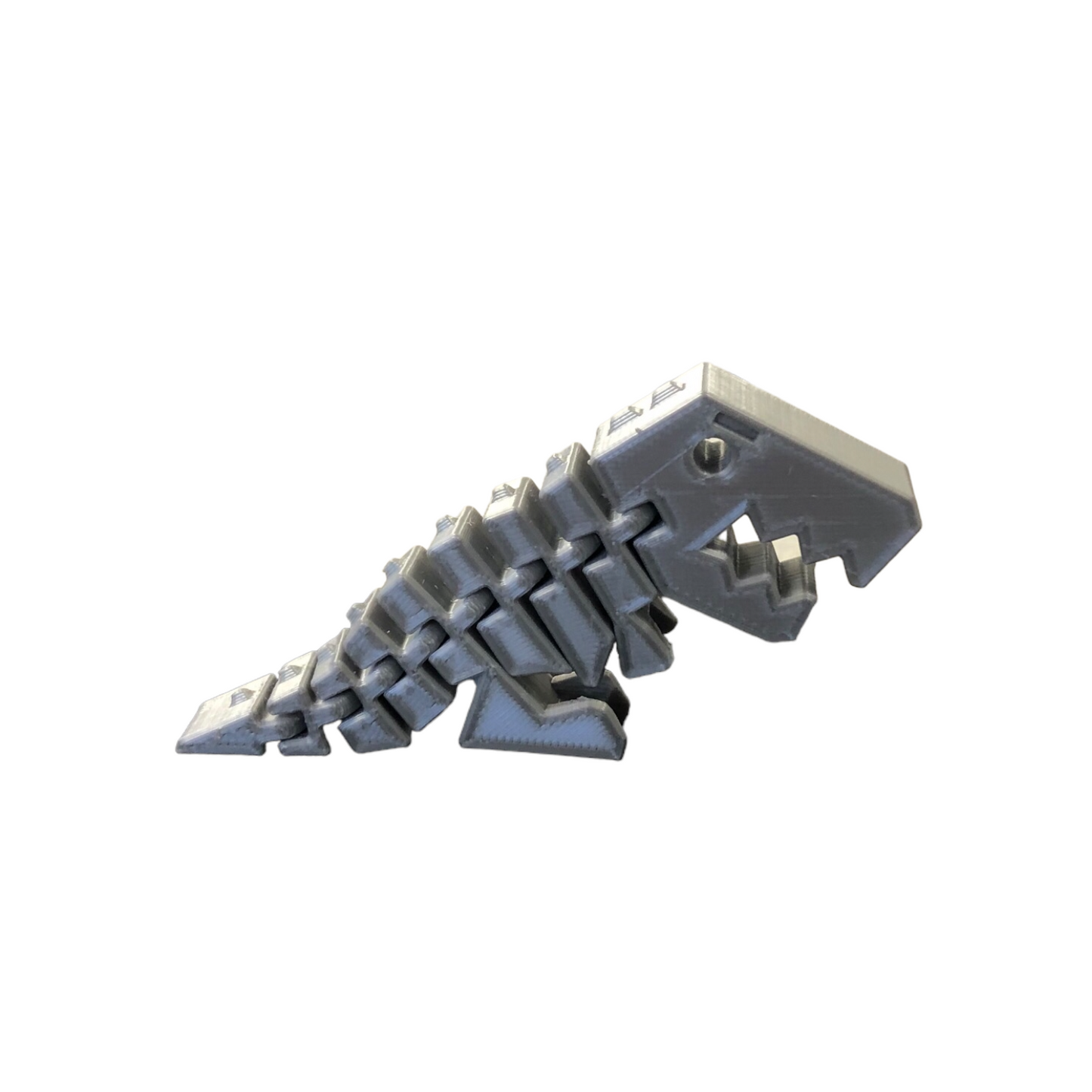 T-Rex fidget toy