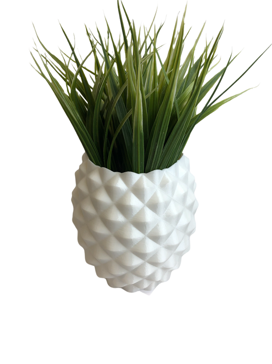 Pinapple planter