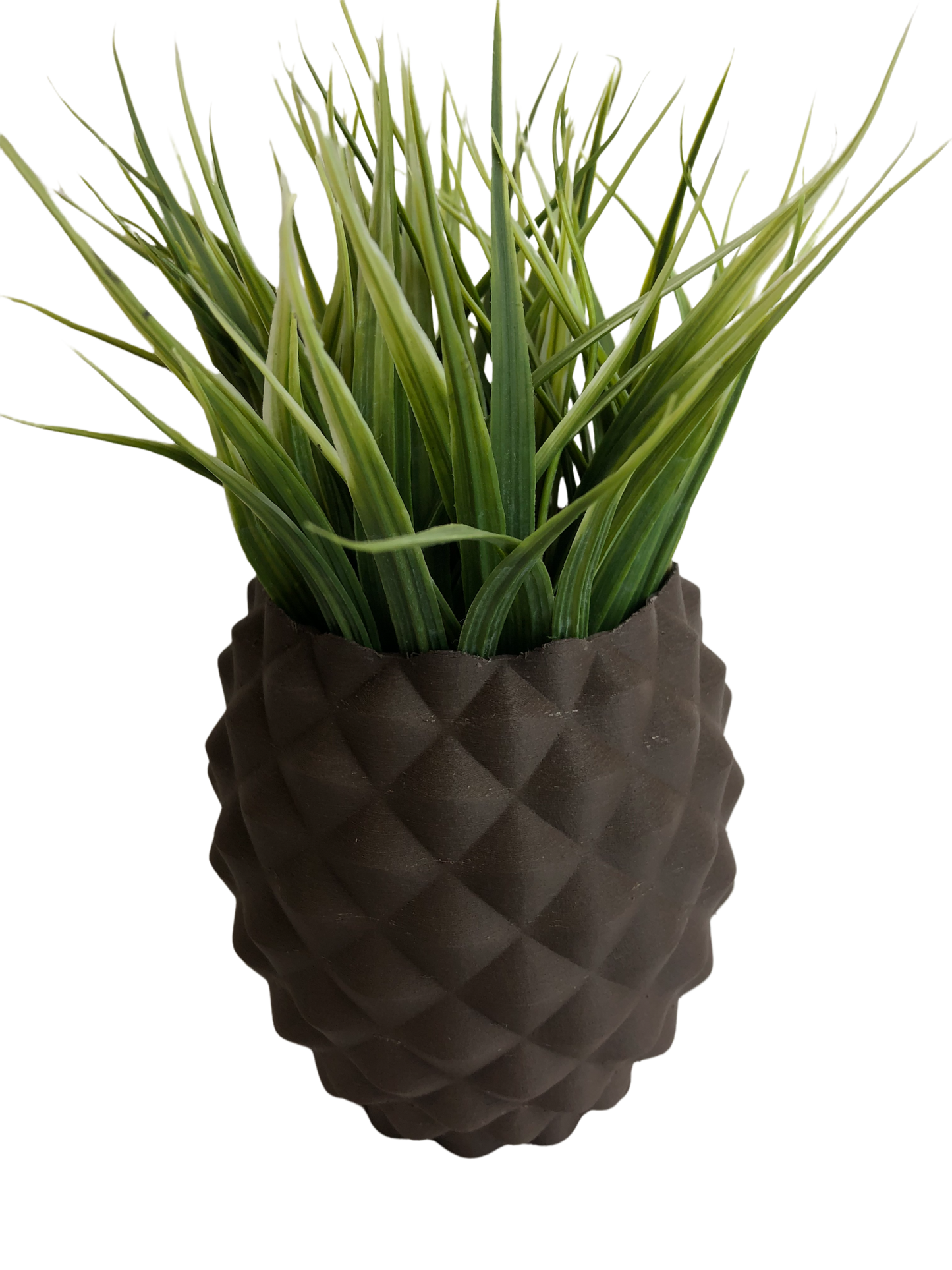 Pinapple planter