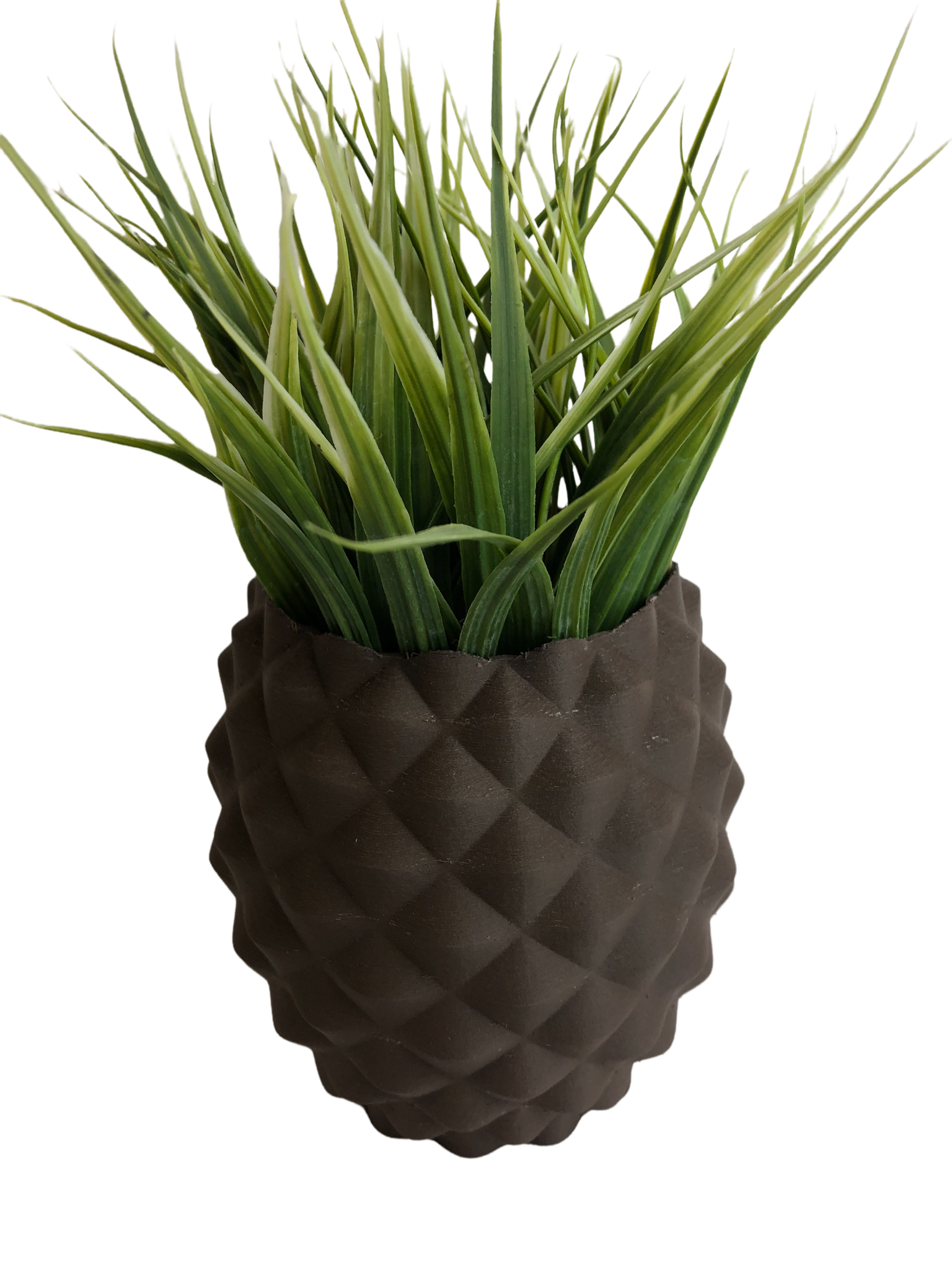 Pinapple planter