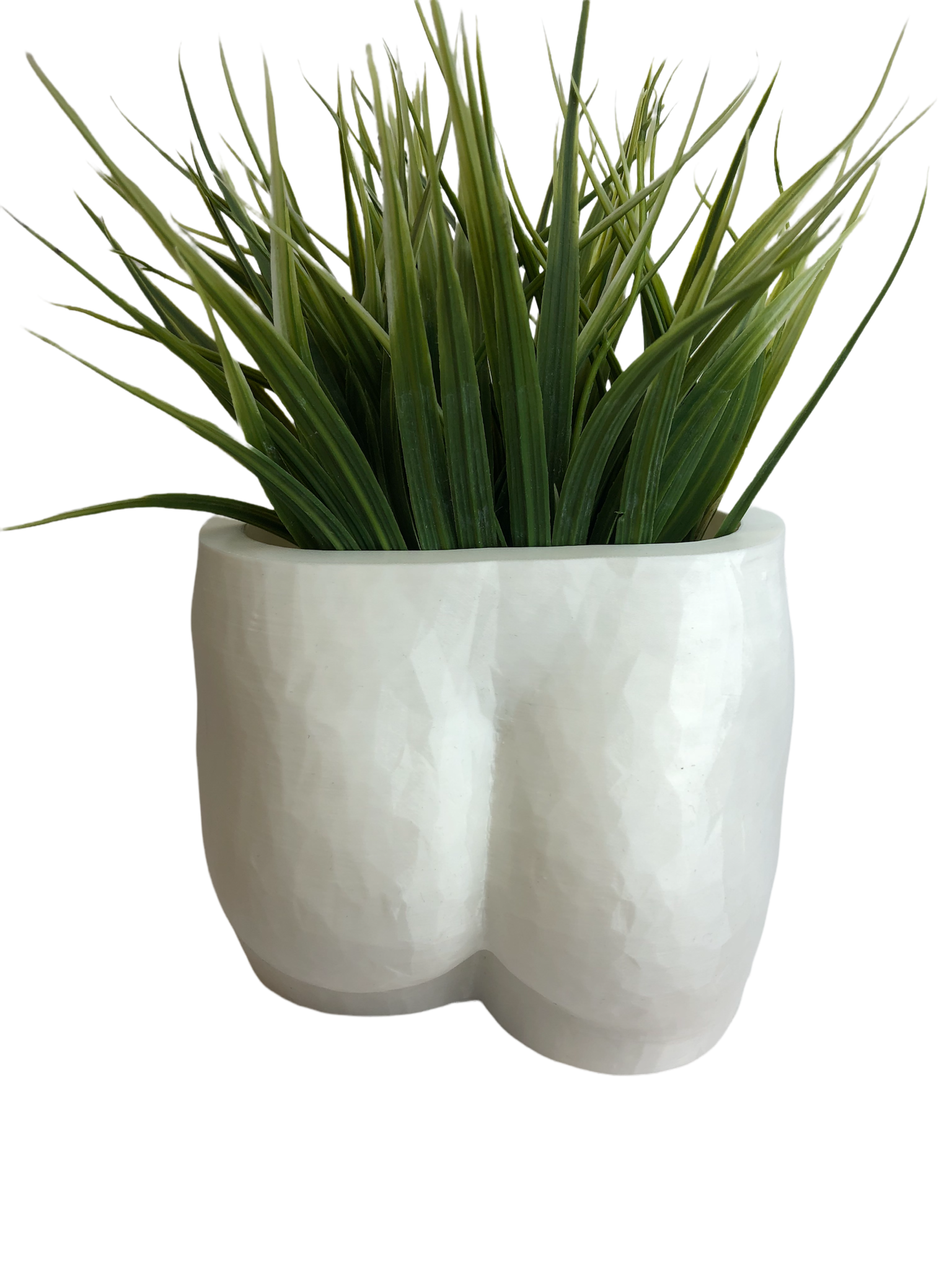 3D printed Butt planter