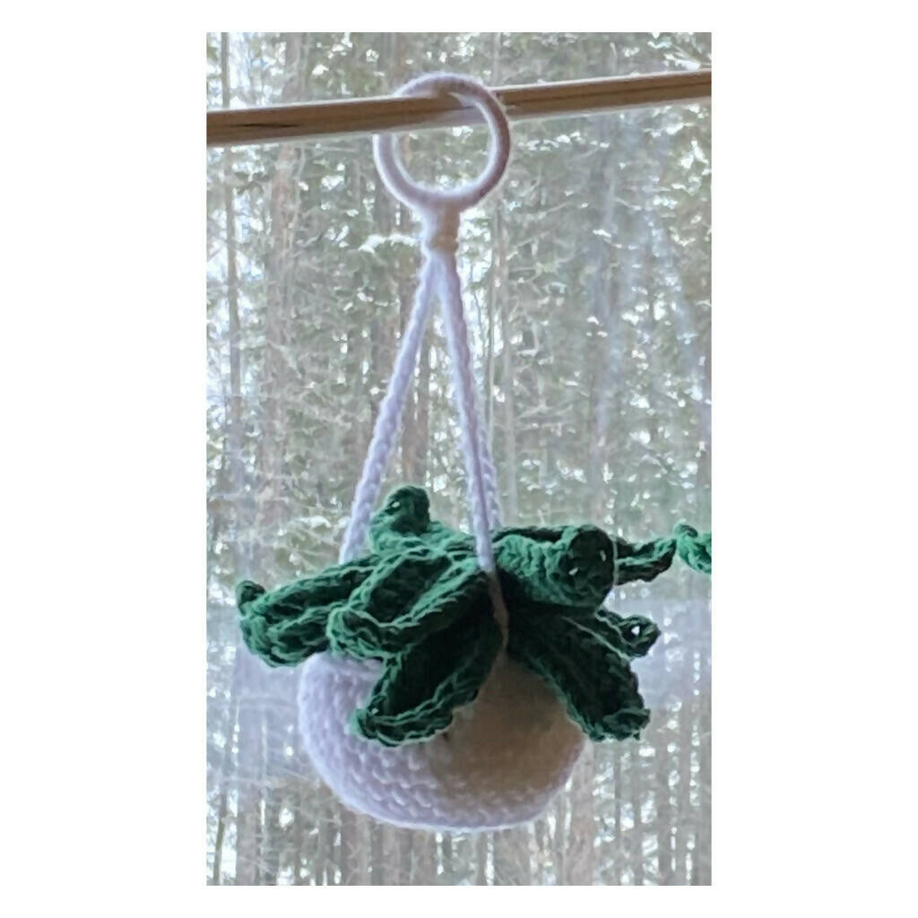 Crochet Hanging Plant