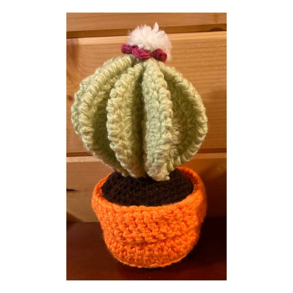 Cactus Stuffed Toy