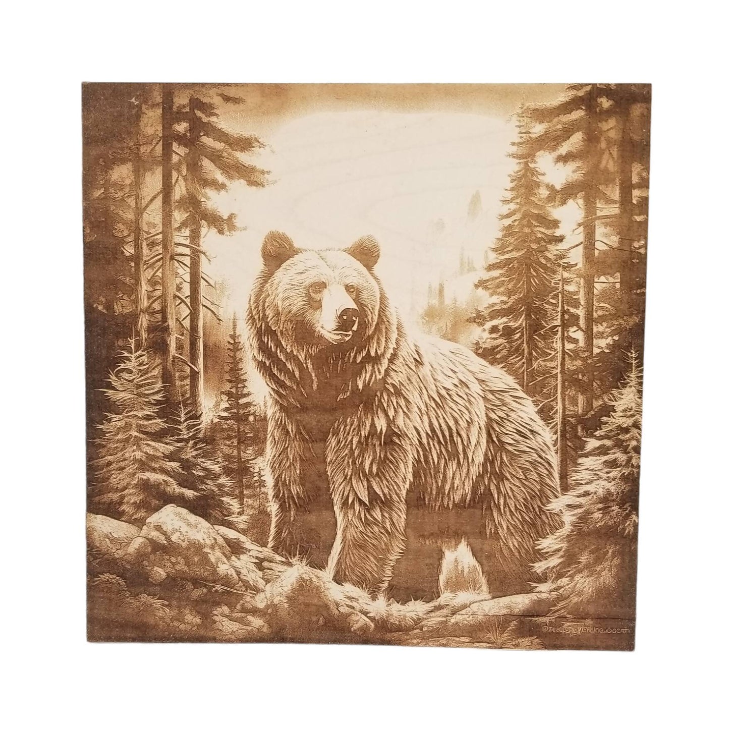 Bear Laser wood burn