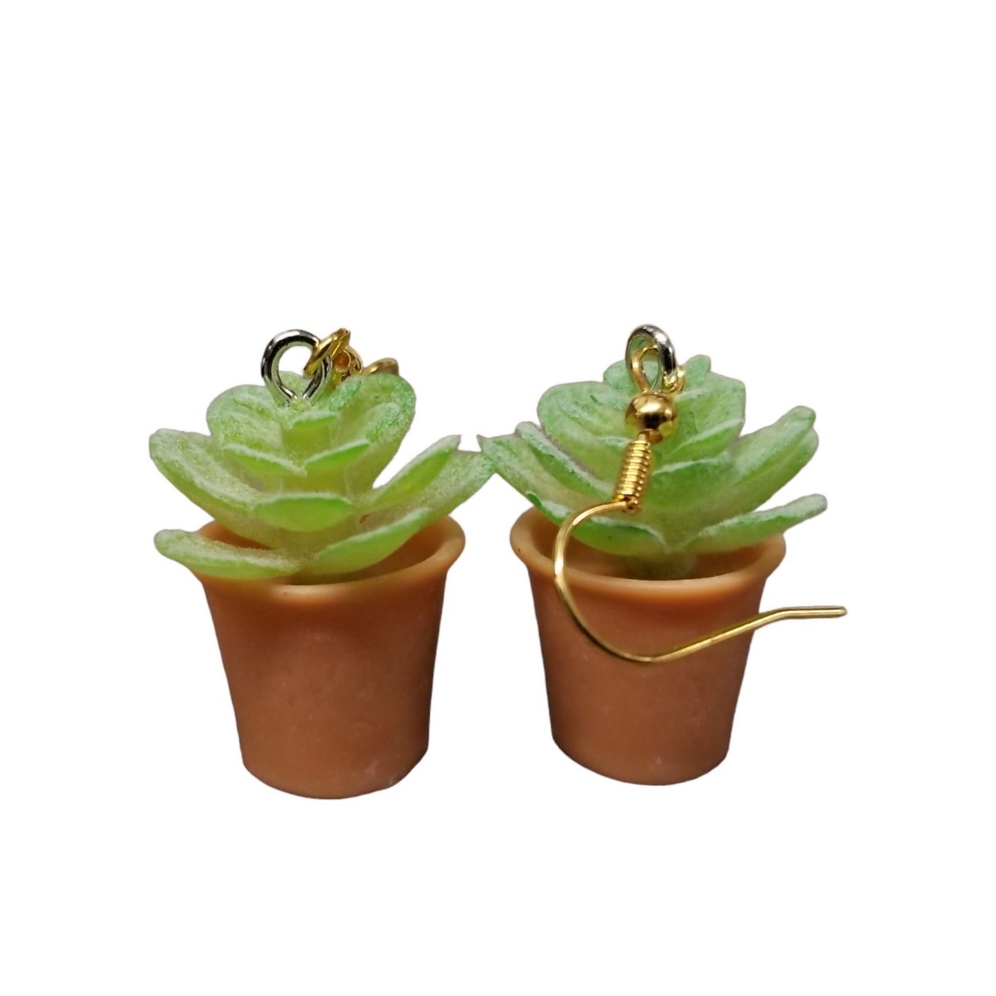 Succulent Earrings