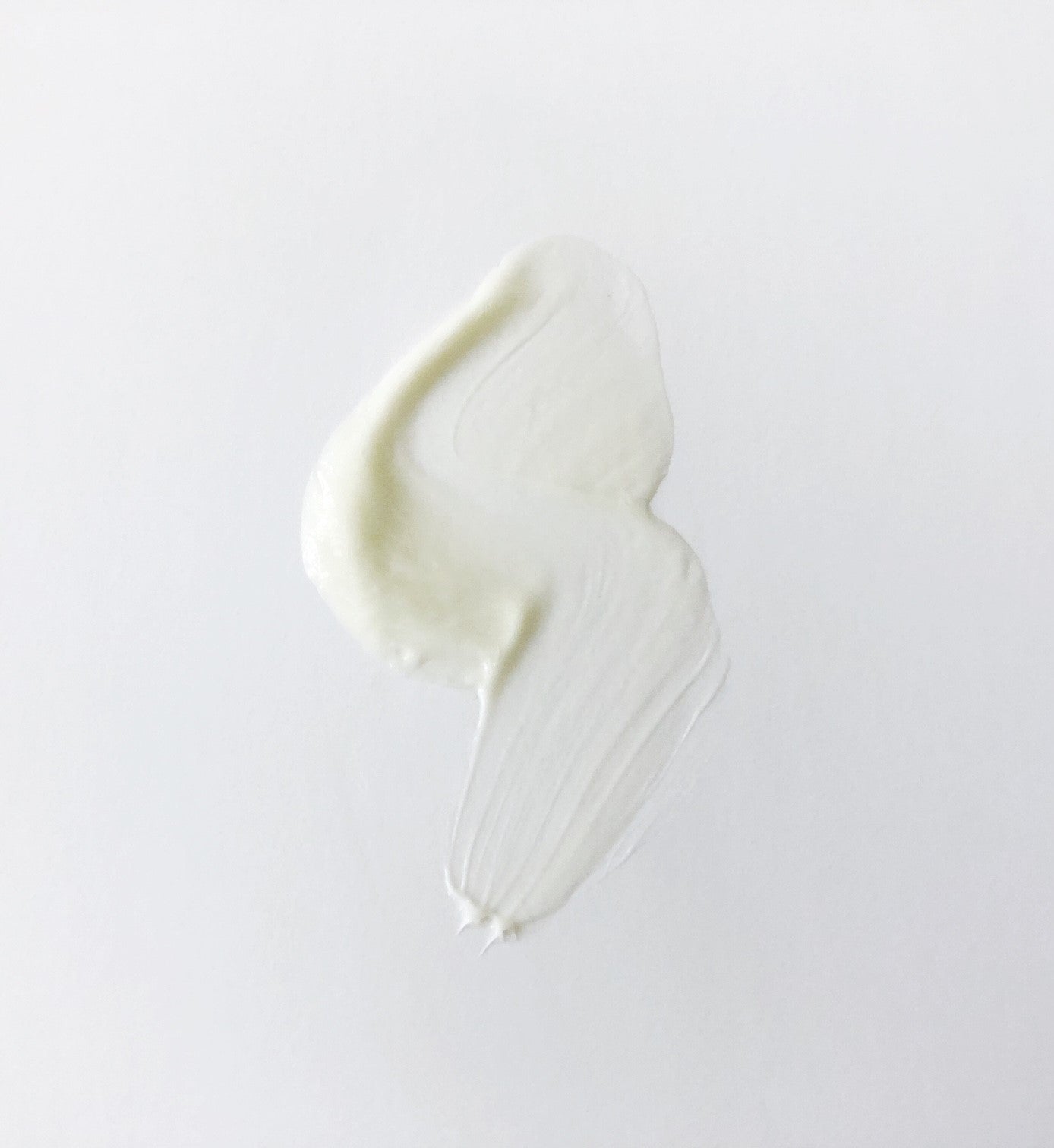 rosehip eye cream - WEKUSKO WILD Boreal Skincare