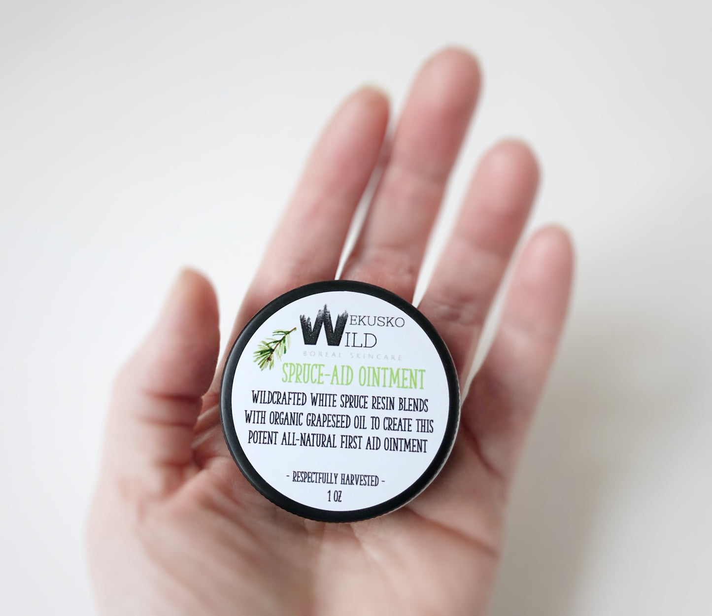 spruce-aid ointment - WEKUSKO WILD Boreal Skincare