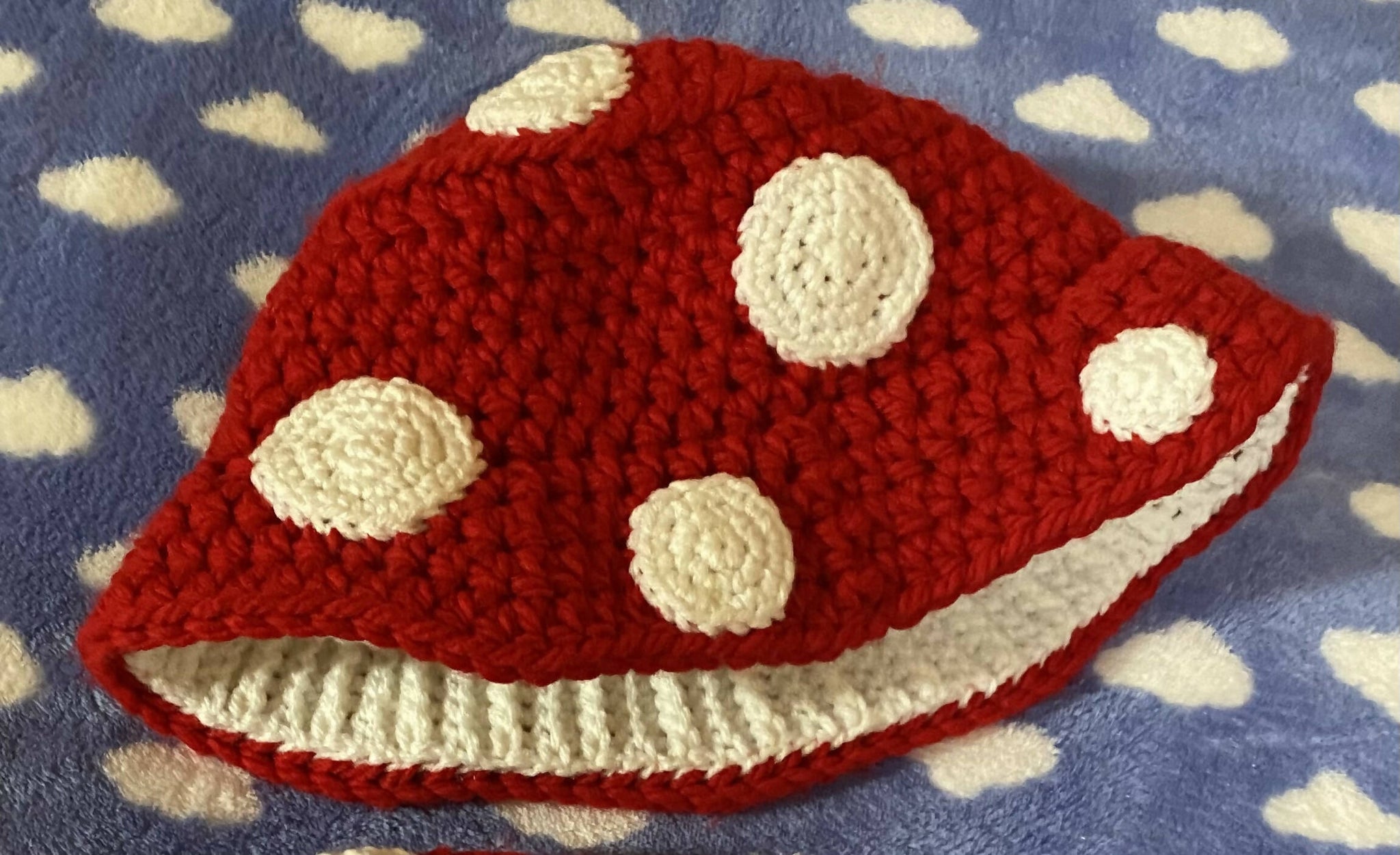 Mushroom Bucket Hat (women’s size)