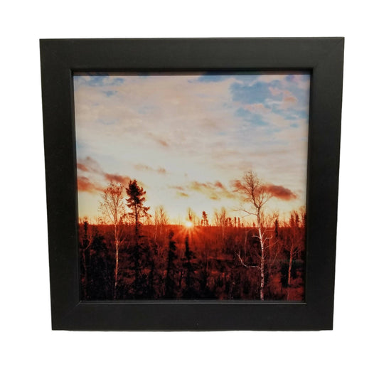 Metal Framed prints